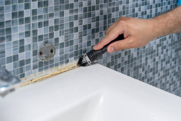 Best Home Mold Removal  in West Palm Beach, FL